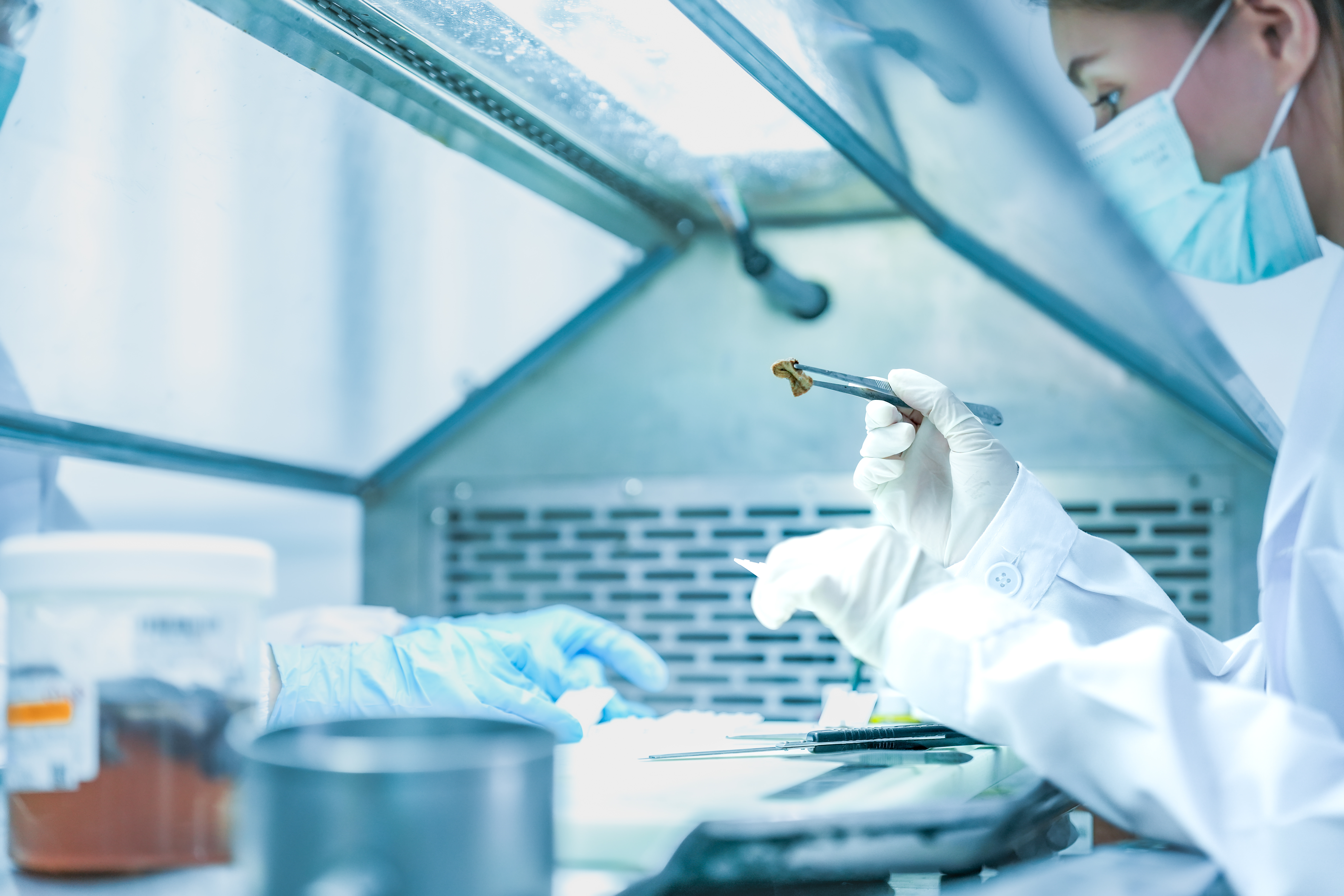 Pathologists' assistants at work in an anatomic pathology lab