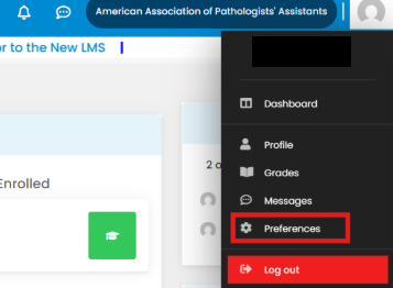 Profile menu with Preferences option